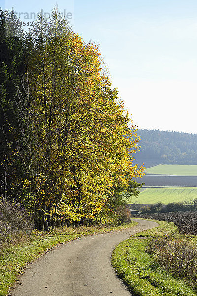 zwischen inmitten mitten Fernverkehrsstraße Wald Feld Herbst schmutzig Bayern Deutschland Oberpfalz