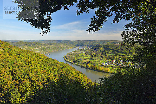 Fluss Draufsicht Deutschland Rheinland-Pfalz