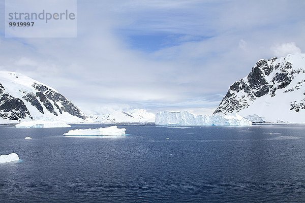 Blick auf Eisberge und Berge  Neko Harbor  Andvord Bay  Antarktis