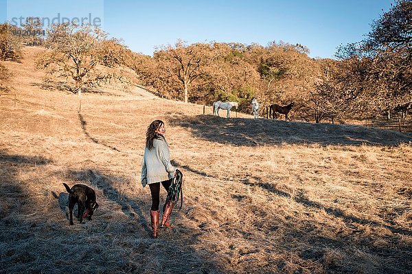 Junge Frau und Hund beim Spaziergang durch das Feld mit Pferdegeschirr