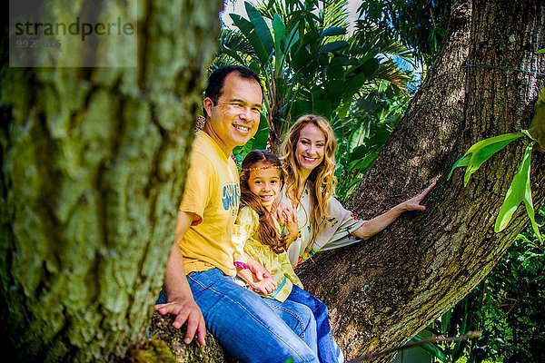Porträt eines reifen Paares und einer Tochter  die auf einem Gartenbaumzweig sitzen
