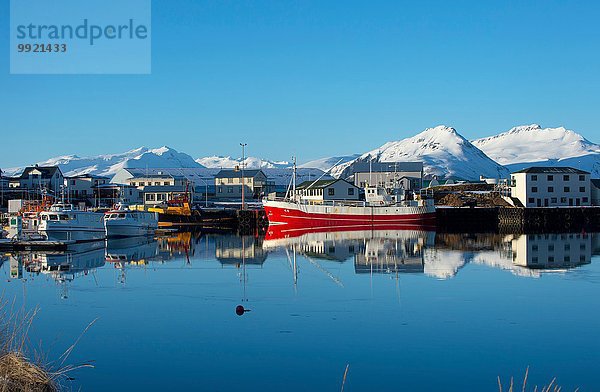 Blick auf Fischerboote und schneebedeckte Berge  Hofn Hafen  Island