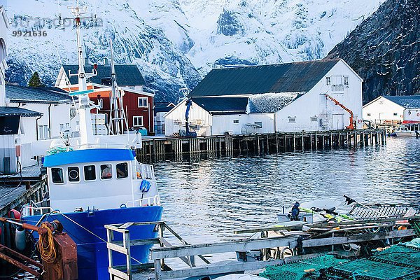 Fischerboot am Kai  Reine  Norwegen