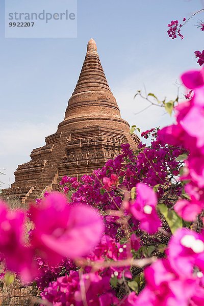 Nicht aufgeführte buddhistische Stupa nahe der Shwesandaw-Pagode  Bagan  Myanmar