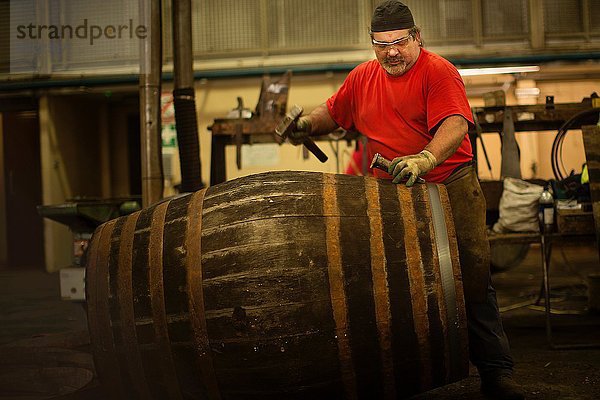 Erwachsener Mann  der Whiskyfass in Küferei herstellt