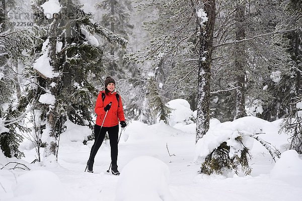 Junge Frau Nordic Walking durch verschneiten Wald  Posio  Lappland  Finnland