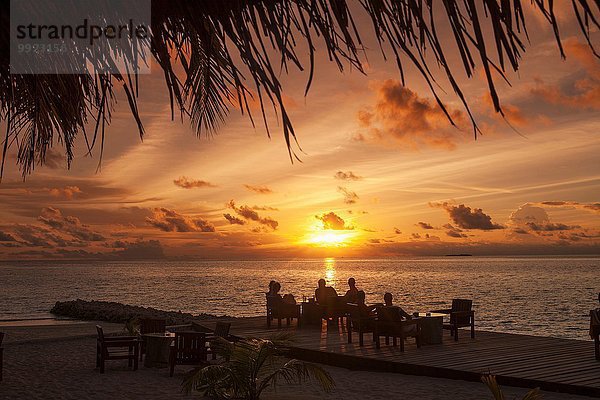 Silhouetten von Menschen unter Palmen bei Sonnenuntergang  Ari Atoll  Malediven