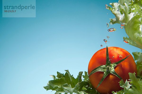 Tomaten und Salat unter Wasser