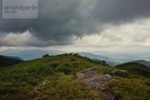 Pisgah National Forest  Great Balsam Mountains  North Carolina  USA