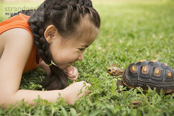 liegend liegen liegt liegendes liegender liegende daliegen sehen Gras Mädchen Landschildkröte Schildkröte