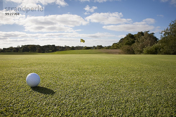 Gras Ball Spielzeug Golfsport Golf Kurs
