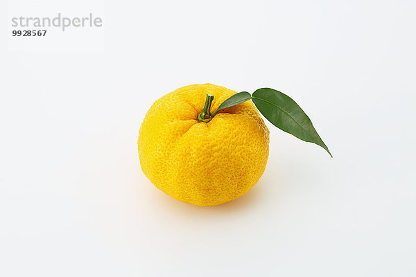 Yuzu