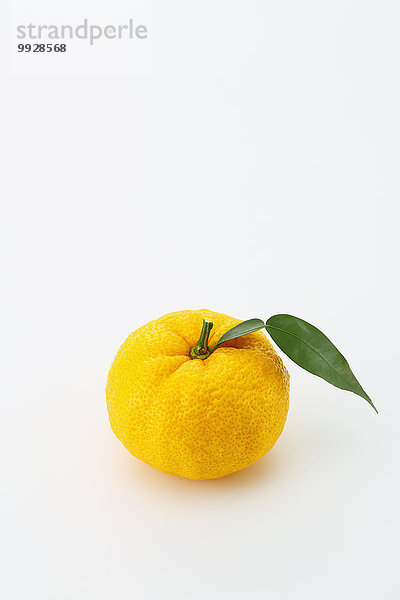 Yuzu