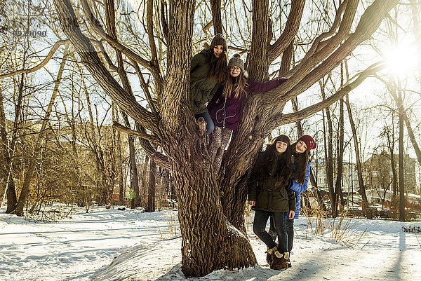 Europäer lächeln Baum Schnee Feld Mädchen