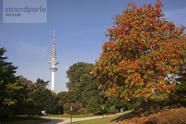 Außenaufnahme Europa Stadt Ziel Herbst Funkturm Hamburg - Deutschland Deutschland