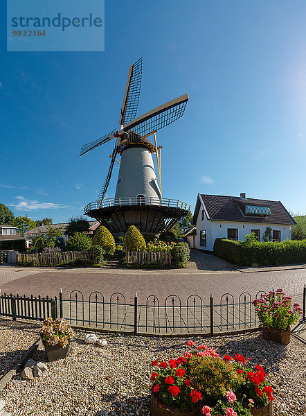 Europa Sommer Großstadt Turm Dorf Niederlande Windmühle Hoffnung