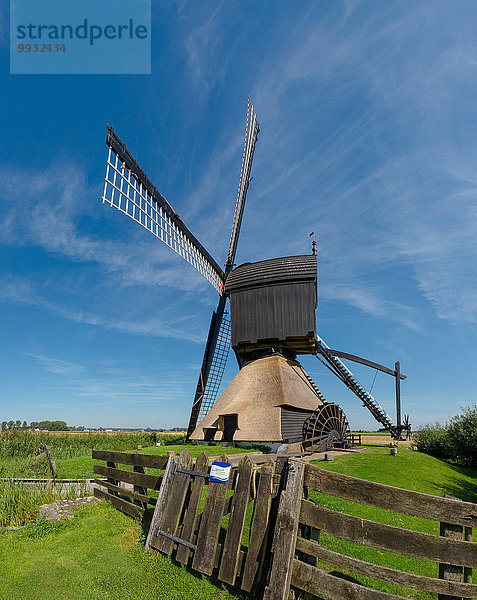 Europa Sommer Feld Wiese Niederlande Windmühle