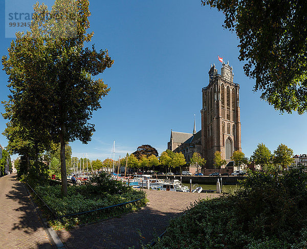 Europa Sommer Baum Wald Kirche Holz Niederlande Kloster