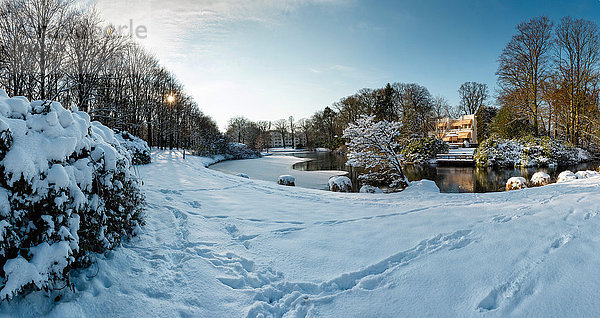 Europa Winter Wohnhaus Baum Wald See Eis Holz Reichtum Niederlande Schnee Villa