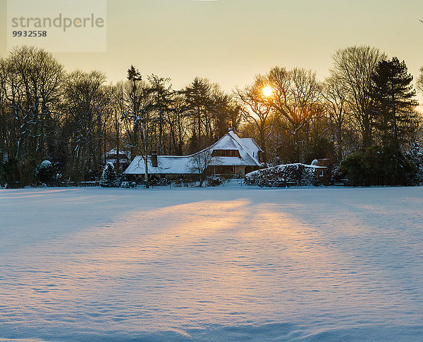Europa Winter Sonnenuntergang Baum Landschaft Gebäude Eis Holz Feld Wiese Niederlande Schnee