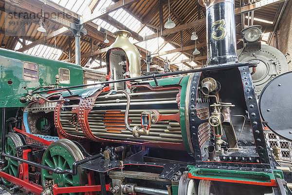 Industrie Großstadt Museum bauen Lokomotive Manchester Pfau Wissenschaft