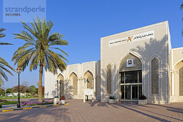 Sehenswürdigkeit bauen Vereinigte Arabische Emirate VAE Blume Tradition Baum Eingang Tür Gebäude Straße Architektur Pflanze Museum Laterne - Beleuchtungskörper Asien Dubai Sharjah Schardscha Tourismus