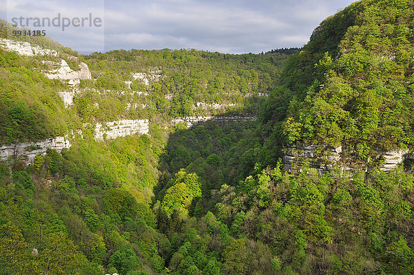 Frankreich Europa Reise Lifestyle Aussichtspunkt Schlucht