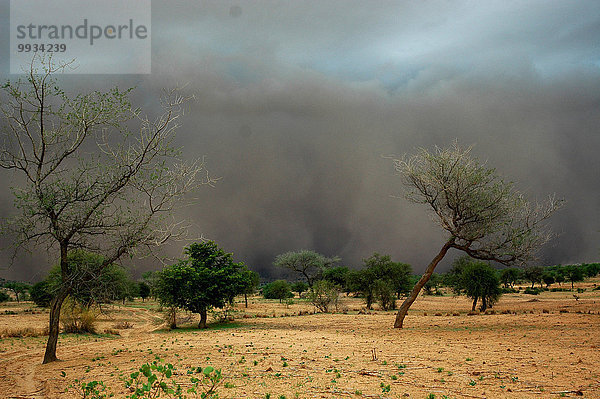 Sturm Sand Unwetter Afrika Niger