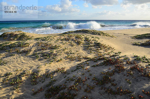 Strand Küste Wasserwelle Welle Meer Sand Düne Atlantischer Ozean Atlantik Sandstrand Kap Verde Kapverden Kapverdische Inseln