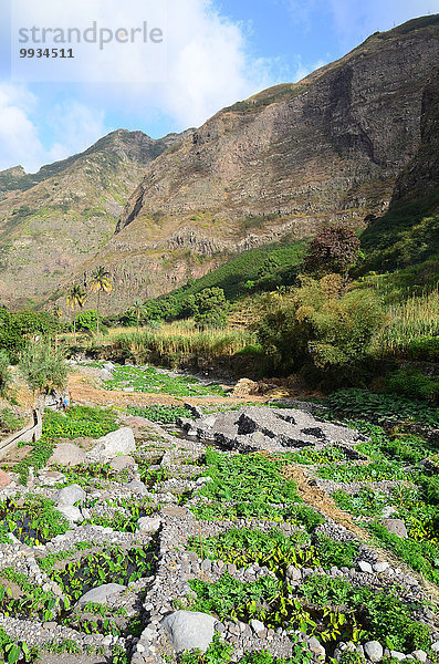 Felsbrocken Berg Steilküste Landwirtschaft Tal Bach Feld Kap Verde Kapverden Kapverdische Inseln Bewässerung