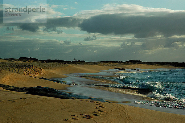 Strand Abend Küste Wasserwelle Welle Meer Sand Die Leiter zum Erfolg Karriereleiter Sandstrand