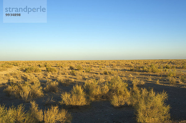 Außenaufnahme Landschaftlich schön landschaftlich reizvoll Tag niemand Wüste Natur Asien Zentralasien Seidenstraße Usbekistan
