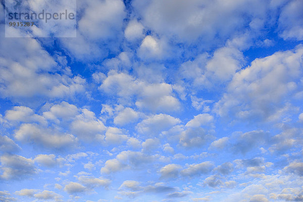 blauer Himmel wolkenloser Himmel wolkenlos Muster Wolke Konzept Himmel Wind weiß Abstraktion Hintergrund blau Bewegung Schnittmuster Wetter