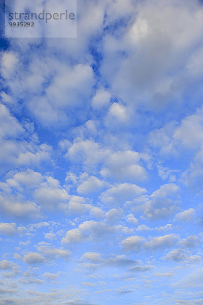 blauer Himmel wolkenloser Himmel wolkenlos Muster Wolke Konzept Himmel Wind weiß Abstraktion Hintergrund blau Bewegung Schnittmuster Wetter