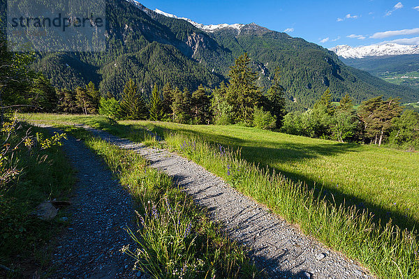 Europa Wiese Kanton Graubünden Schweiz Weg