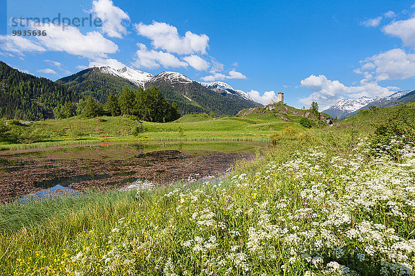 Blumenwiese Europa Palast Schloß Schlösser Ruine Wiese Kanton Graubünden Engadin Teich Schweiz Unterengadin