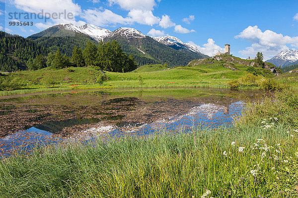 Blumenwiese Europa Palast Schloß Schlösser Ruine Wiese Kanton Graubünden Engadin Teich Schweiz Unterengadin