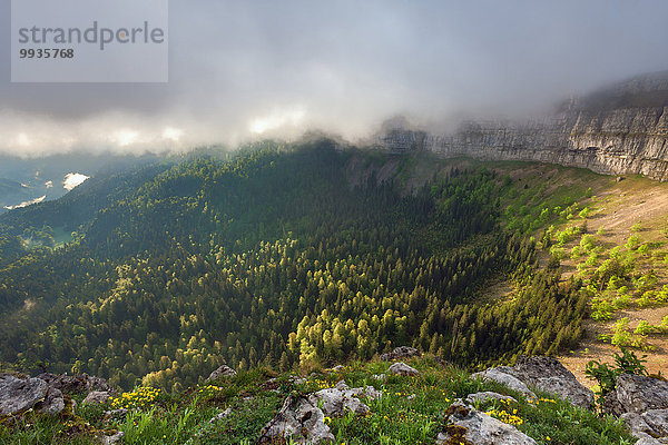 Felsformation Felsbrocken Nebel Morgenstimmung