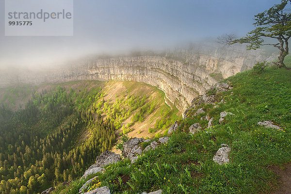 Felsformation Felsbrocken Nebel Morgenstimmung