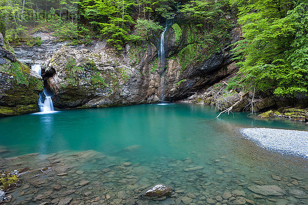 Felsbrocken Europa Steilküste Wald Holz Wasserfall Schweiz
