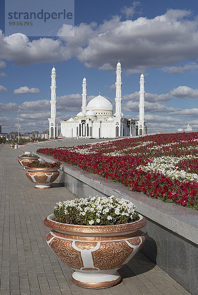 Blume Sommer niemand Reise Großstadt Architektur Monument rot Tourismus Zentralasien Kasachstan Moschee neu