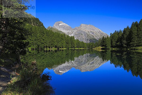 blauer Himmel wolkenloser Himmel wolkenlos Wasser Europa Berg Sommer Himmel Spiegelung Wald See Holz Alpen Kanton Graubünden Lärche Bergsee schweizerisch Schweiz