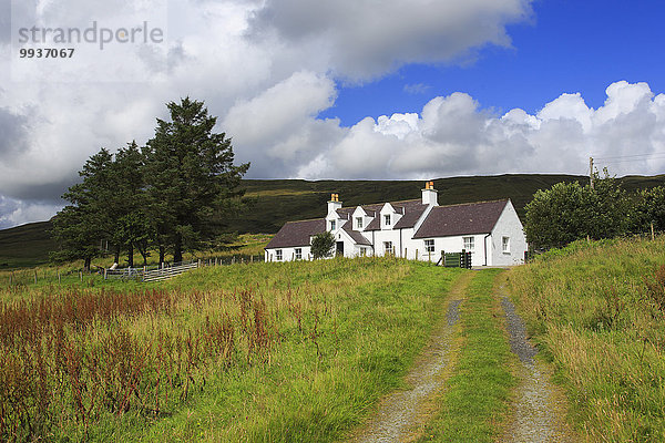 blauer Himmel wolkenloser Himmel wolkenlos Ländliches Motiv ländliche Motive Landschaftlich schön landschaftlich reizvoll Herrenhaus Bauernhaus Europa Wolke Tradition Wohnhaus Sommer Baum Großbritannien Landschaft weiß Natur Insel Feldweg Highlands typisch Isle of Skye Schottland schottisch Skye Weg schottische Highlands