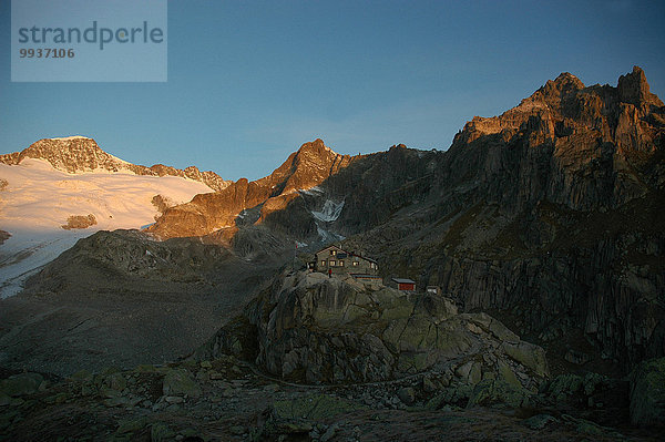 Hütte Europa Berggipfel Gipfel Spitze Spitzen Morgen Sonnenaufgang Graubruststrandläufer Calidris melanotos Realp Schweiz