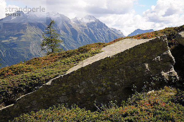 Felsbrocken Europa Steilküste Kanton Graubünden Megalith Schweiz