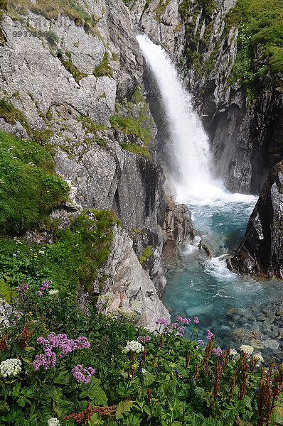 Europa Sommer Bach Wasserfall Wiese Schlucht Schweiz