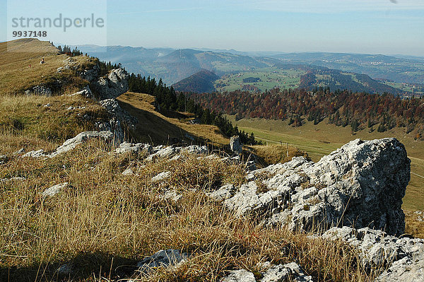 Panorama Europa Herbst Wiese Ansicht Kanton Bern Schweiz