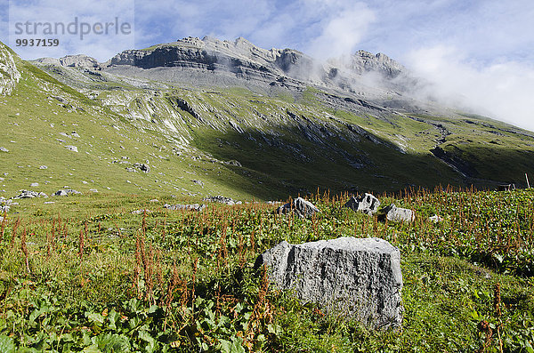 Europa Berg Berggipfel Gipfel Spitze Spitzen Schweiz