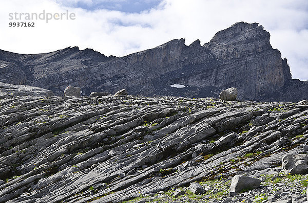 Europa Berg Berggipfel Gipfel Spitze Spitzen Karst Schweiz