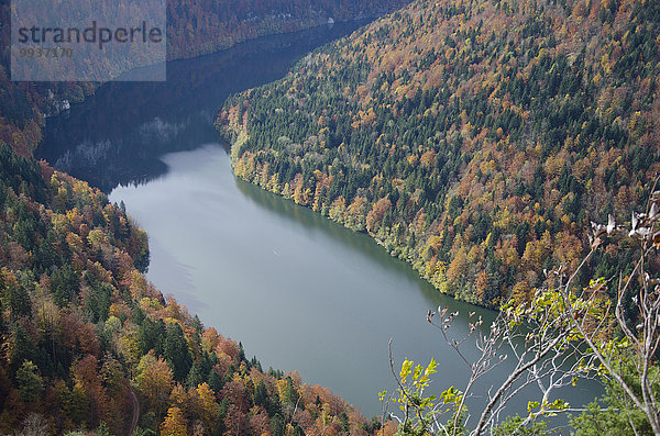 Europa See fließen Fluss Herbst Mischwald Stausee Schweiz